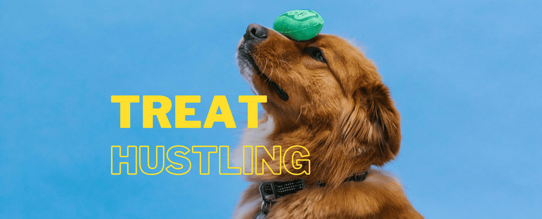 Best Practices for Giving Your Dog Treats: Tips, Benefits, and Training Tricks - Bravo Pets