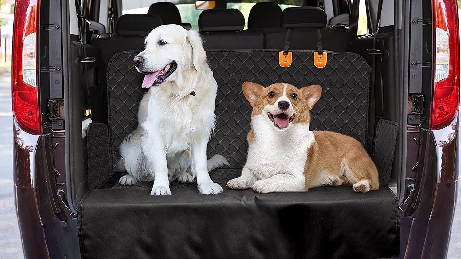 Car Seats and Vehicle Protectors - Bravo Pets