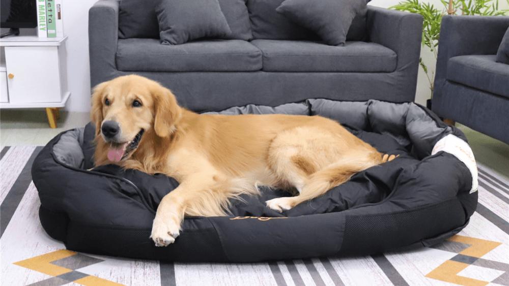 Dog Bedding - Bravo Pets