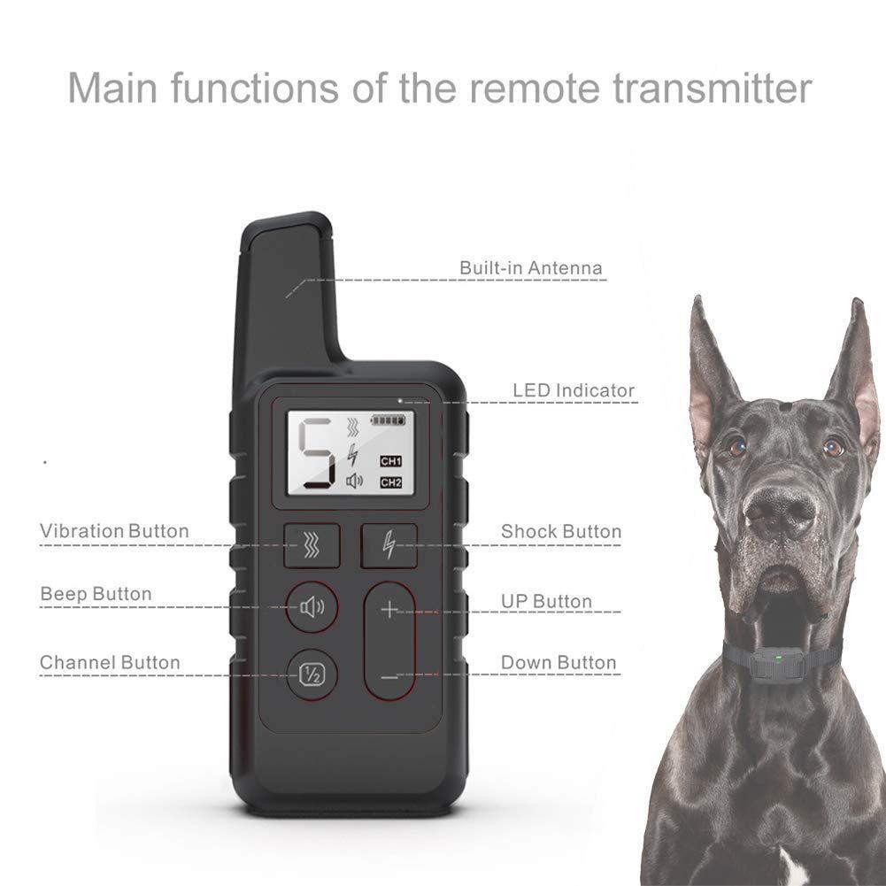 Waterproof Remote Dog Training Collar – 500m Range & Long Battery LifeDog TrainingBravo Pets