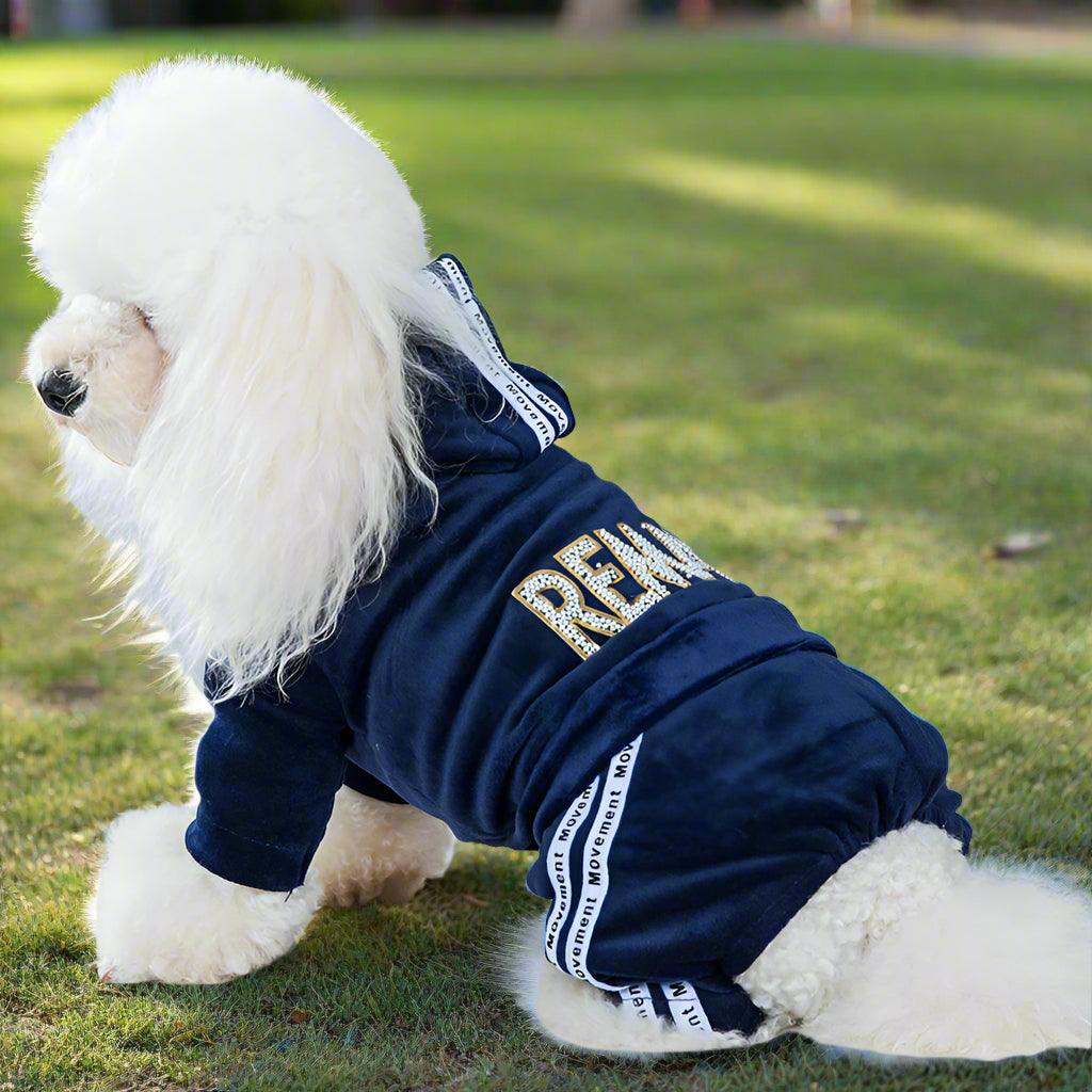 Dog Activewear Velvet Sports and Leisure for SMALL DogsDog FashionBravo Pets