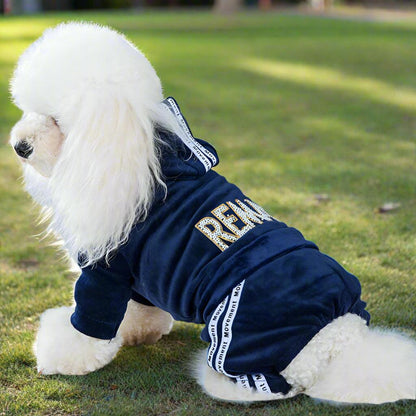 Dog Activewear Velvet Sports and Leisure for SMALL DogsDog FashionBravo Pets
