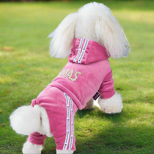 Dog Activewear Velvet Sports and Leisure for SMALL DogsDog FashionBravo Pets