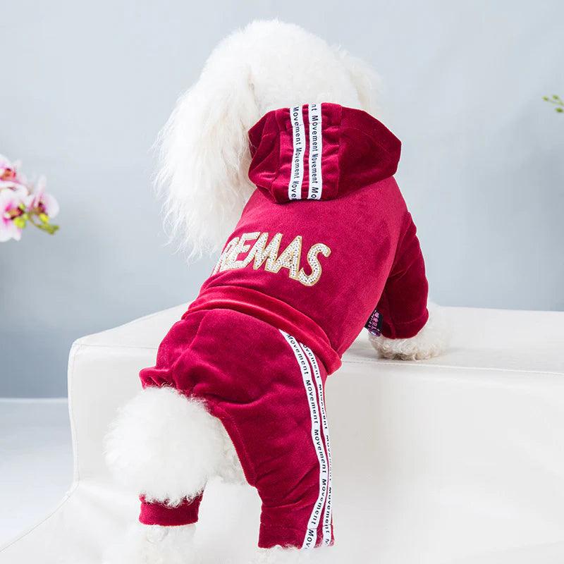 Dog Activewear Velvet Sports and Leisure for SMALL DogsDog FashionBravo Pets