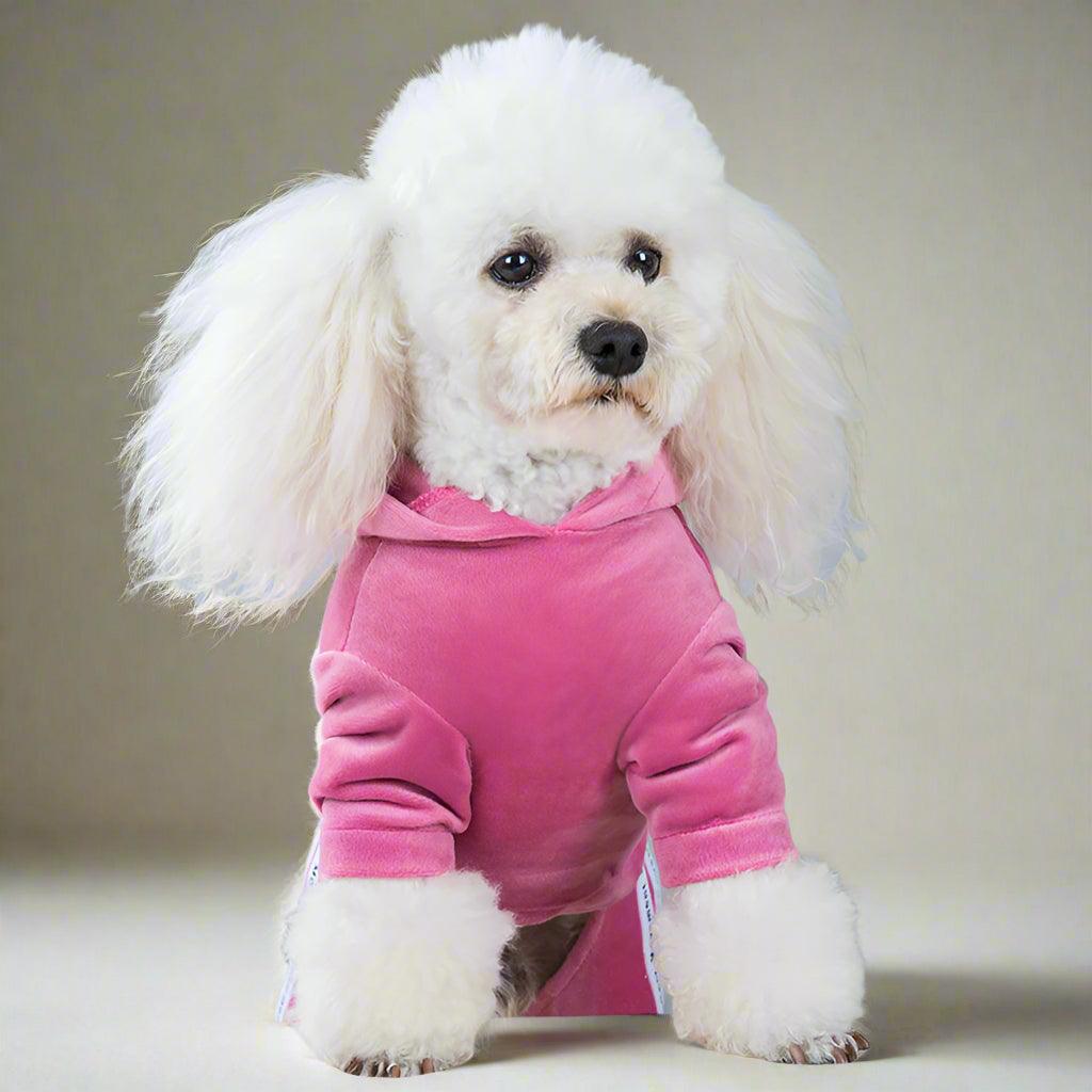 Dog Activewear Velvet Sports and Leisure for SMALL DogsDog FashionBravo Pets