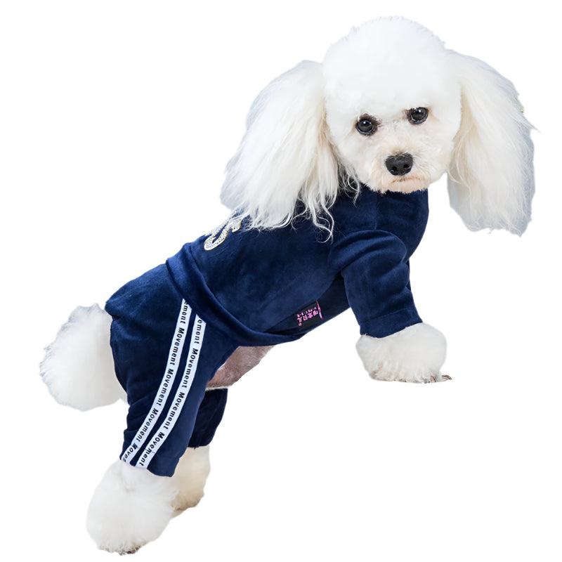 Dog Activewear Velvet Sports and Leisure for SMALL DogsDog FashionBravo Pets