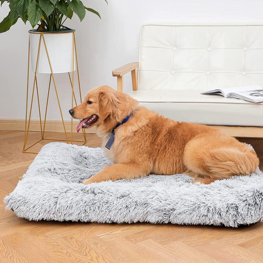 Plush and Cosy Pet Mat for Ultimate Comfort and WarmthDog BedBravo Pets