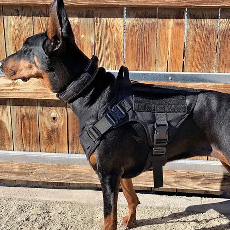 No Pull Adjustable Reflective Tactical Harness for Military Service DogsDog Tactical HarnessBravo Pets
