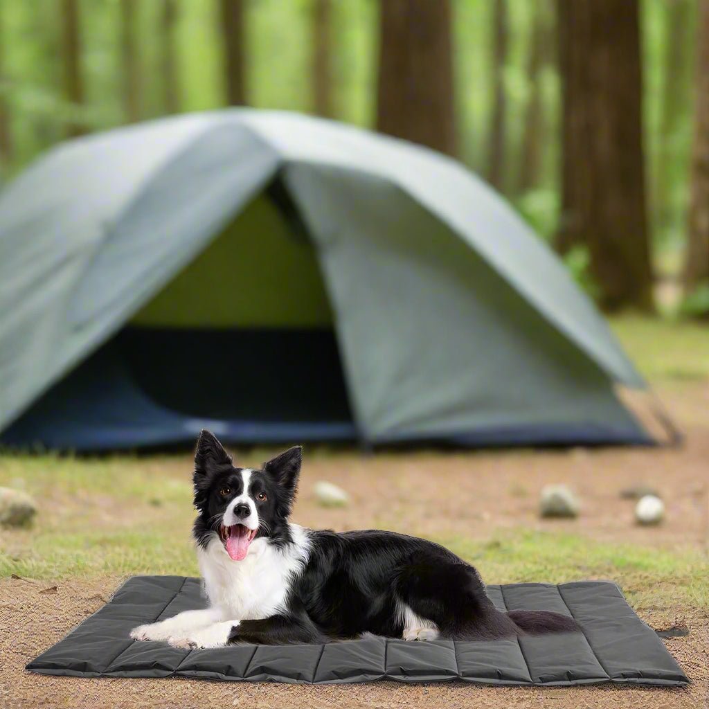 Waterproof & Portable Outdoor Dog BedDog BedBravo Pets
