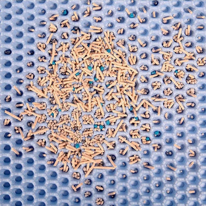 Double Layer Waterproof Cat Litter Mat Non - slip Washable Cat Sand MatCat Litter MatBravo Pets