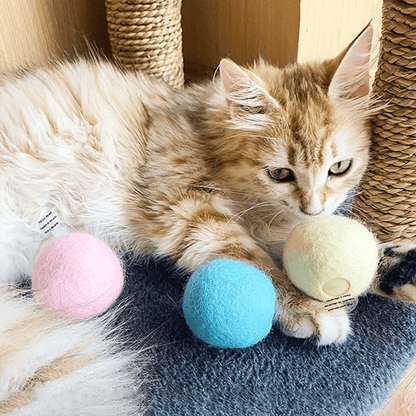 Interactive Electric Smart Cat ToyCat ToyBravo Pets