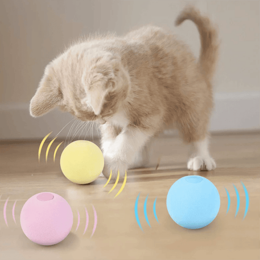 Interactive Electric Smart Cat ToyCat ToyBravo Pets