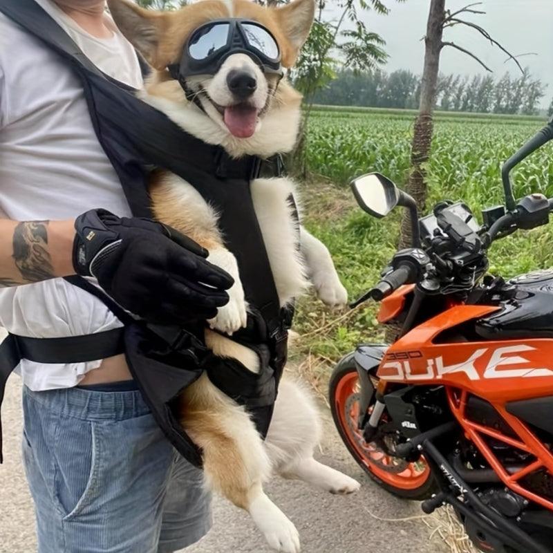 Ergonomic Pet Carrier Backpack – Comfortable & Secure for Small to Medium DogsDog BackPackBravo Pets