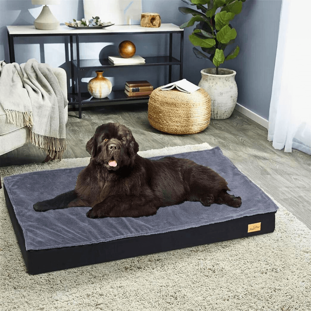 Waterproof Non - Slip Orthopedic Dog Bed for Large DogsDog BedBravo Pets