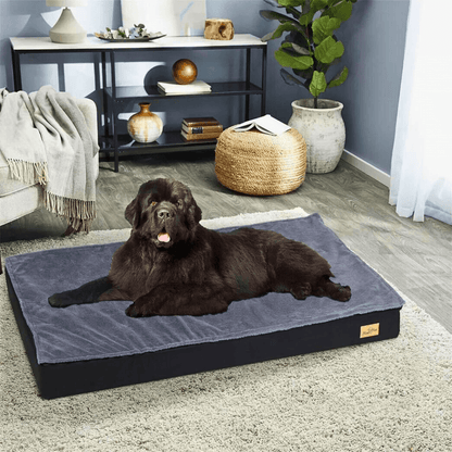 Waterproof Non - Slip Orthopedic Dog Bed for Large DogsDog BedBravo Pets