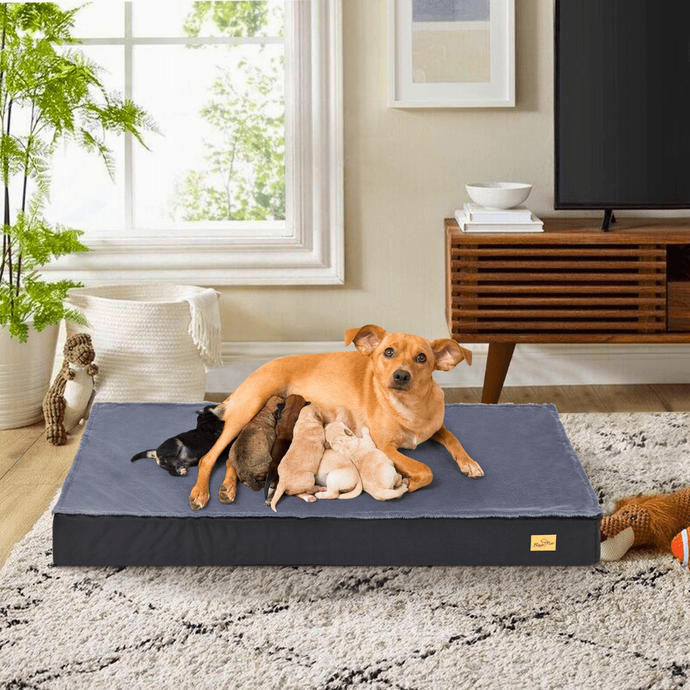 Waterproof Non - Slip Orthopedic Dog Bed for Large DogsDog BedBravo Pets