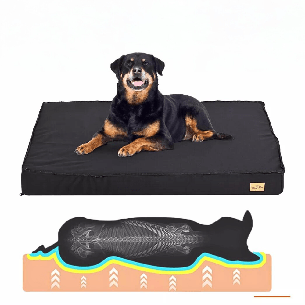 Waterproof Non - Slip Orthopedic Dog Bed for Large DogsDog BedBravo Pets