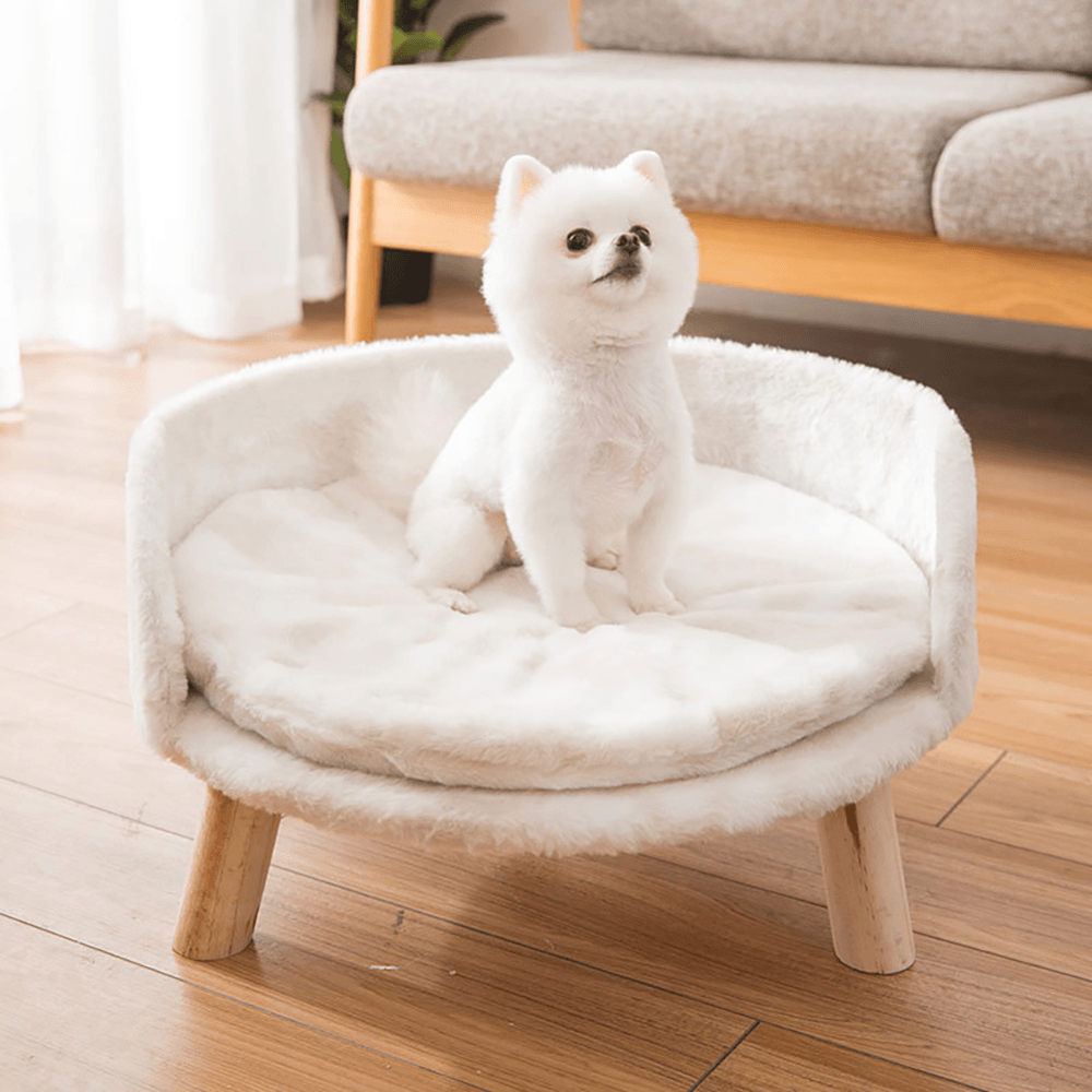 Plush Luxury Cat/Small Dog Bed with Cosy Cushion PadPet BedBravo Pets