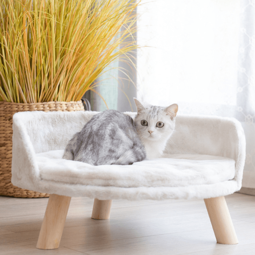 Plush Luxury Cat/Small Dog Bed with Cosy Cushion PadPet BedBravo Pets