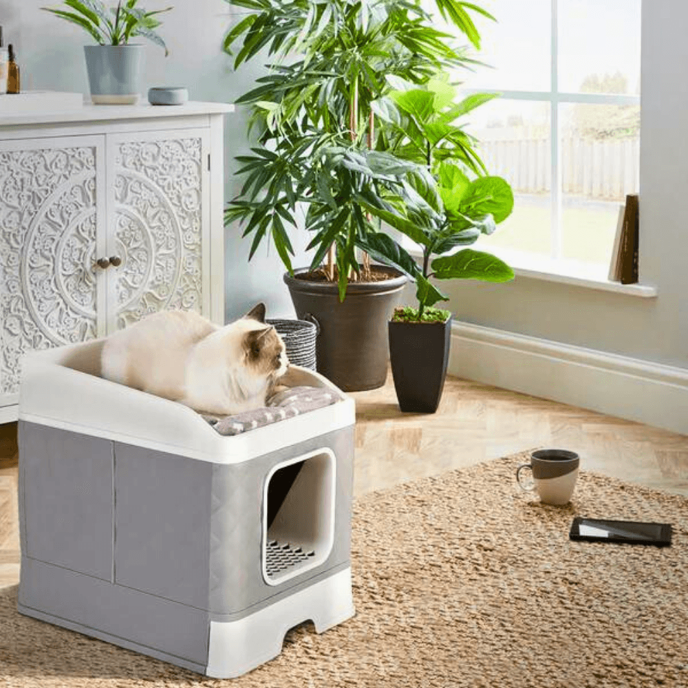 Detachable Top Cat Litter Box with Front Entry and Portable Scoop DrawerCat Litter BoxBravo Pets