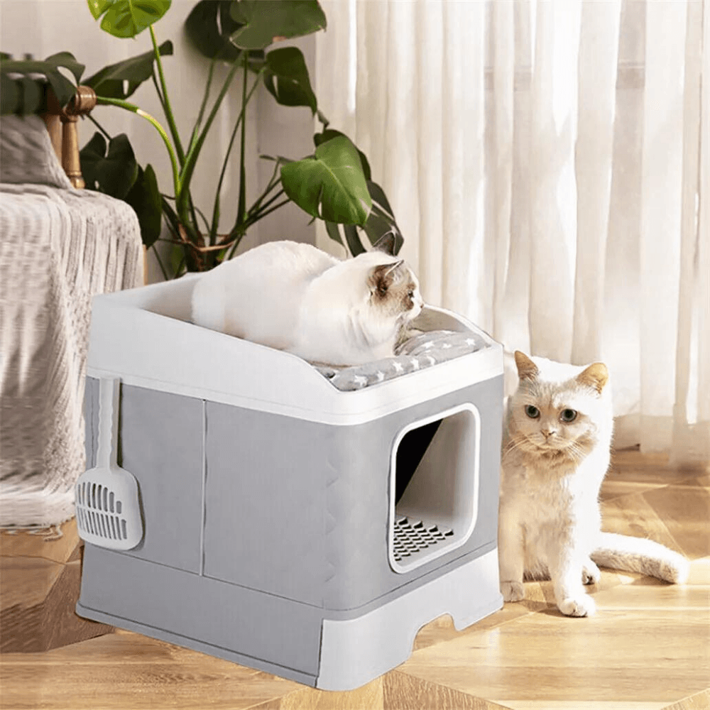 Detachable Top Cat Litter Box with Front Entry and Portable Scoop DrawerCat Litter BoxBravo Pets