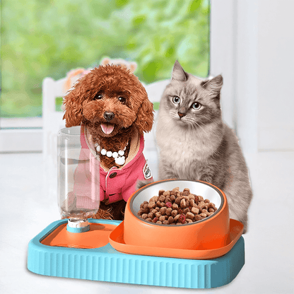 3 in 1 Pet Food Container with Automatic Drinking BottlePet Food/Water BowlBravo Pets
