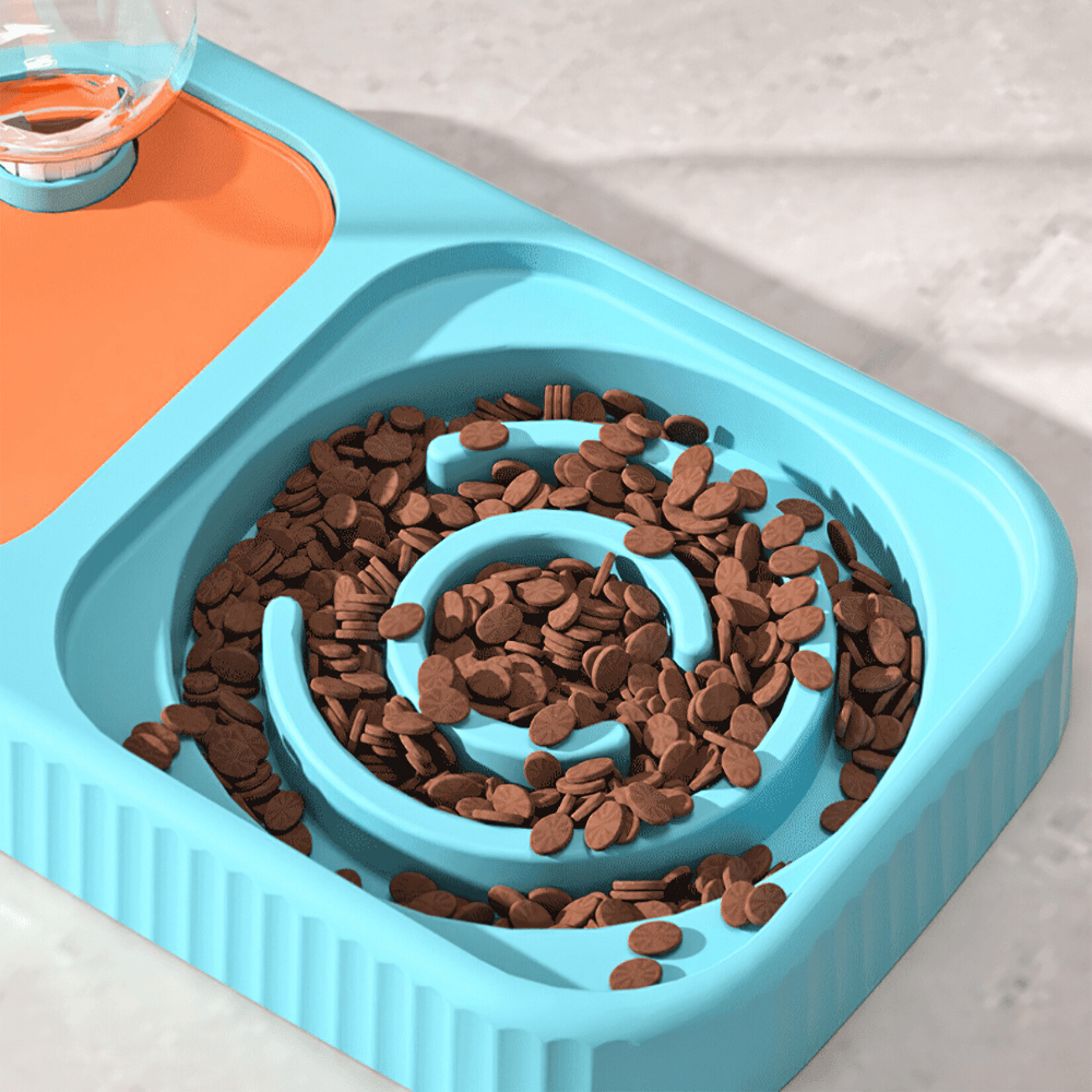 3 in 1 Pet Food Container with Automatic Drinking BottlePet Food/Water BowlBravo Pets