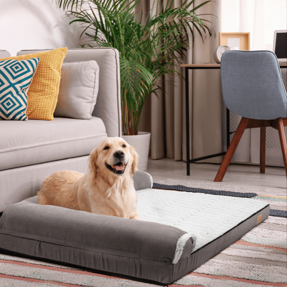 L - shape Pet Calming Bed Chaise Sofa Kennel Mat with Removable Plush CoverDog BedBravo Pets