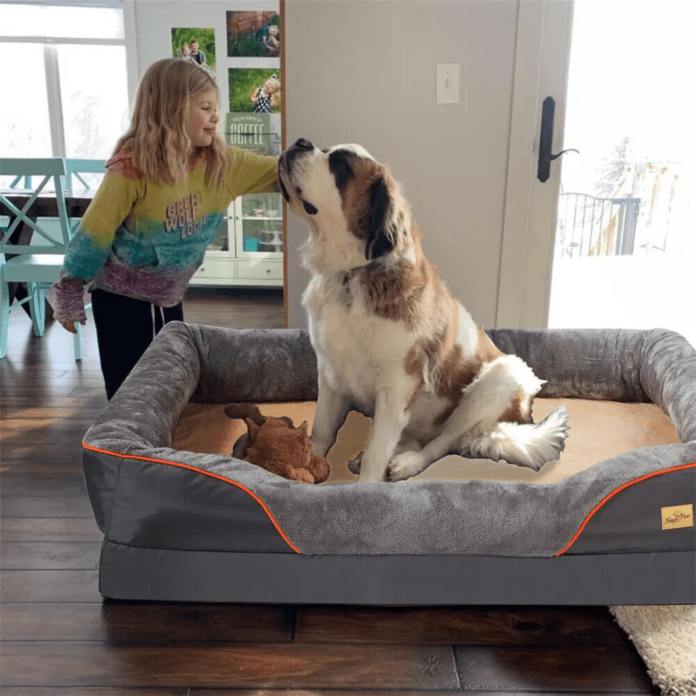 Orthopedic Dog Bed Elevated Cushion Warm Waterproof MattressDog BedBravo Pets