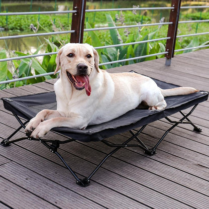 Large Elevated Folding Pet BedDog BedBravo Pets