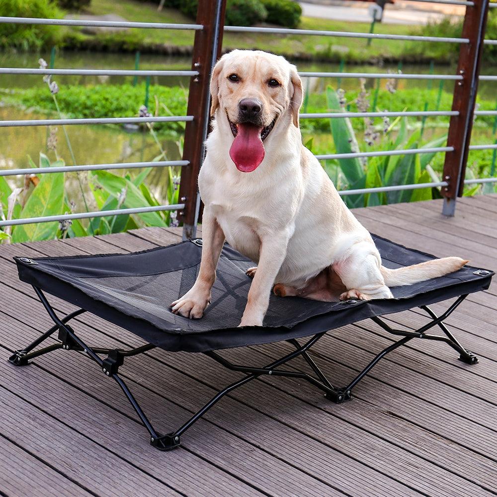 Large Elevated Folding Pet BedDog BedBravo Pets