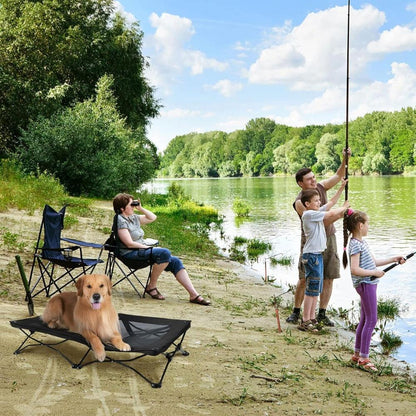 Large Elevated Folding Pet BedDog BedBravo Pets