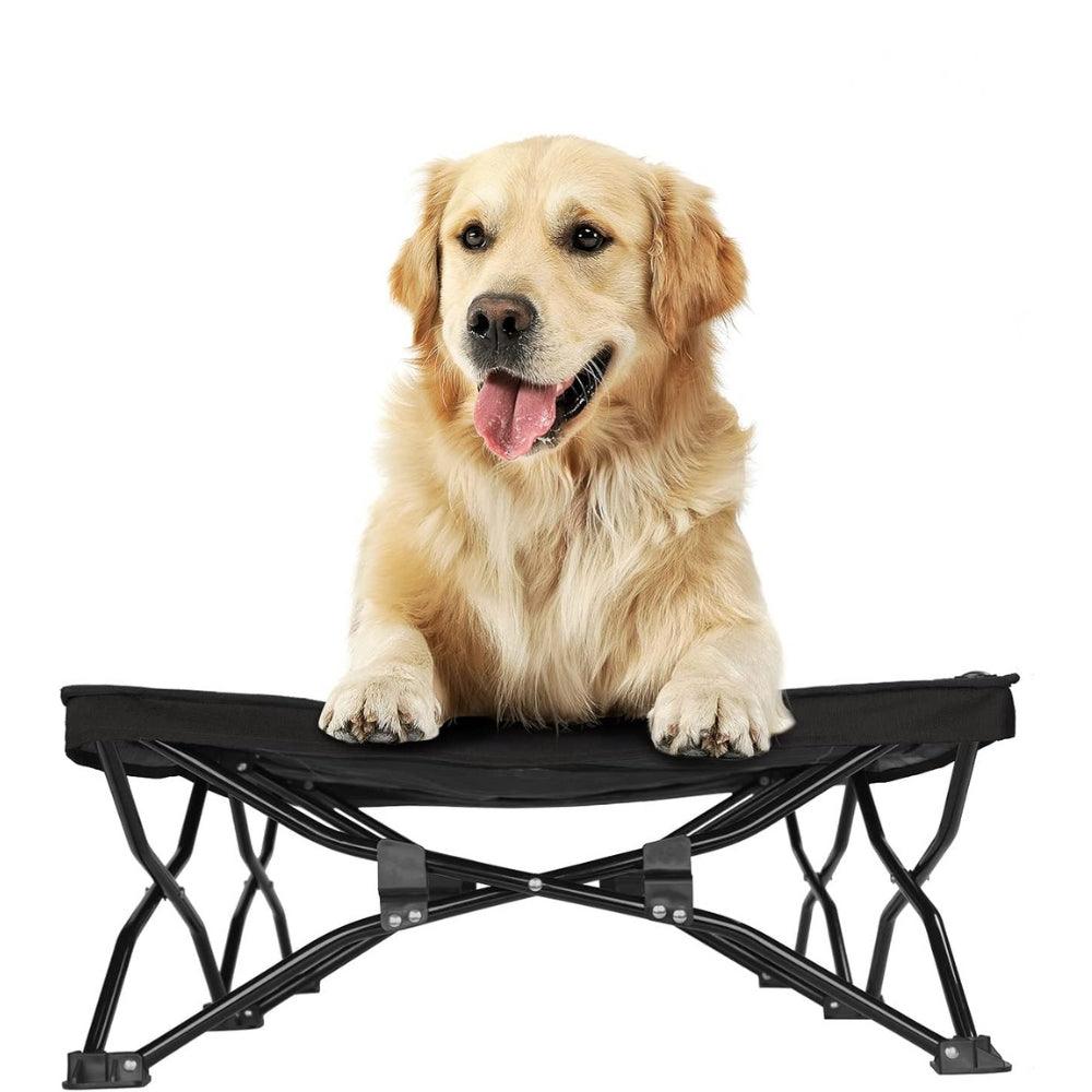 Large Elevated Folding Pet BedDog BedBravo Pets