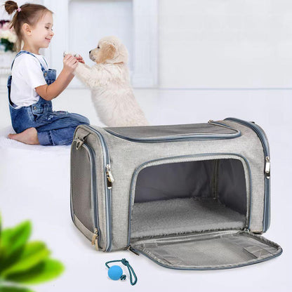 Airline Approved Pet Carrier Bag Backpack For Small Dogs and CatsPet CarrierBravo Pets