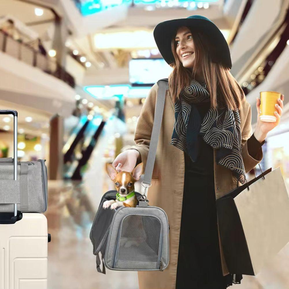 Airline Approved Pet Carrier Bag Backpack For Small Dogs and CatsPet CarrierBravo Pets