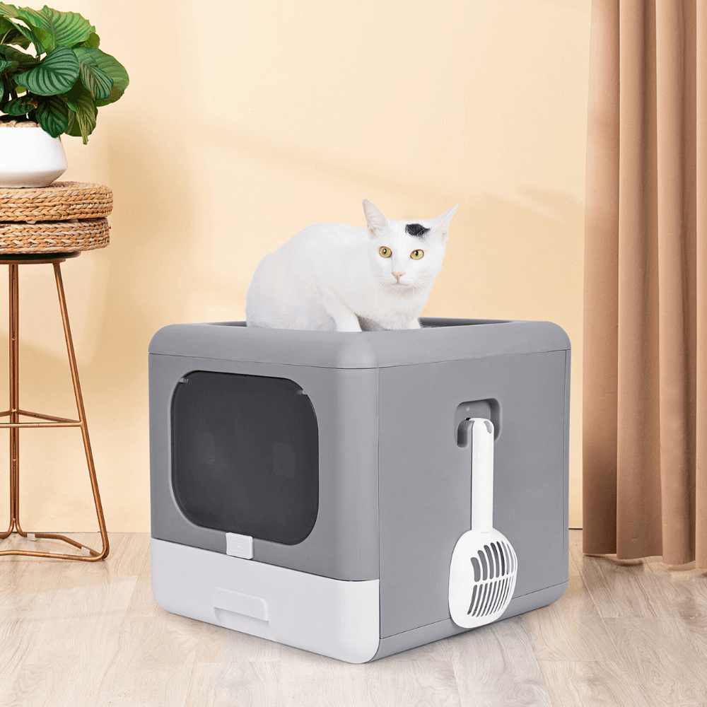 Sleek and Practical Cat Litter Box with Detachable DesignCat Litter BoxBravo Pets