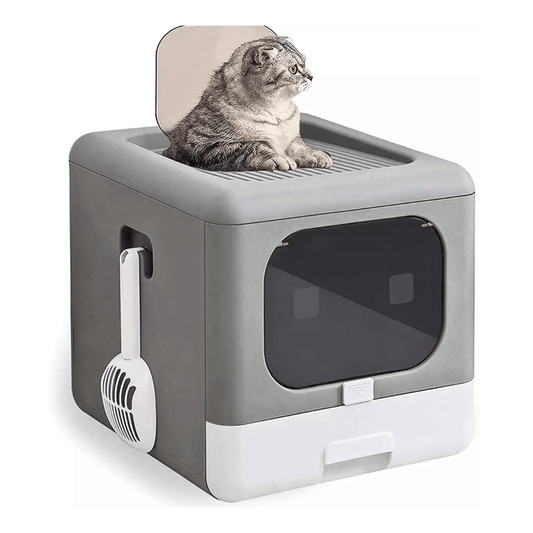 Sleek and Practical Cat Litter Box with Detachable DesignCat Litter BoxBravo Pets