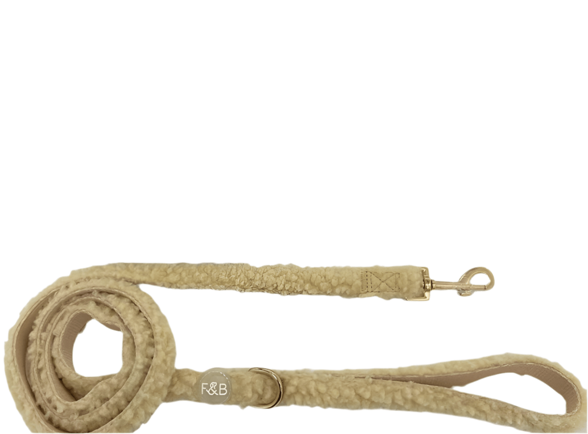 Luxury Teddy Fleece Dog Harness, Leash & Poop Bag Holder Set – Soft, Stylish & FunctionalDog CollarBravo Pets