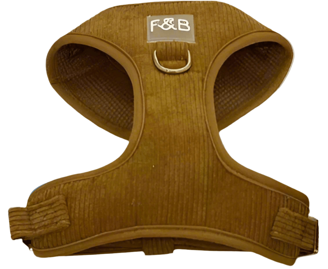 Trendy Mocha Brown Corduroy Harness, Leash & Poop Bag Holder Set – Stylish & Functional Pet Walking KitDog CollarBravo Pets