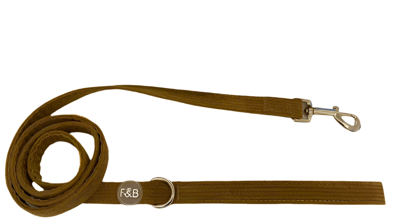 Trendy Mocha Brown Corduroy Harness, Leash & Poop Bag Holder Set – Stylish & Functional Pet Walking KitDog CollarBravo Pets