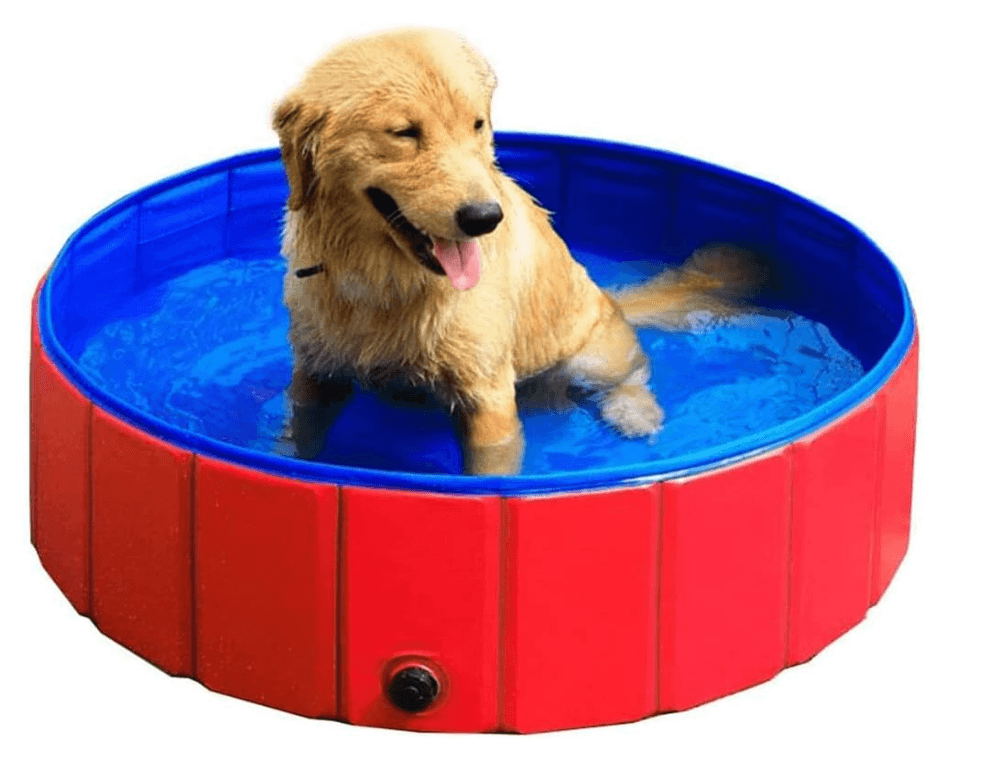 Portable Folding Pet Pool – Durable & Travel - Friendly Dog Bath for Cooling & PlaytimeDog PoolBravo Pets