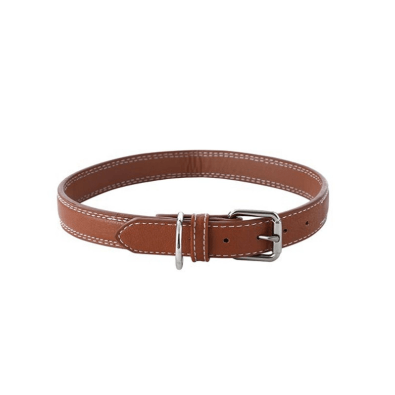 Faux Leather Premium Padded Dog Collar With Stitch DetailsDog CollarBravo Pets