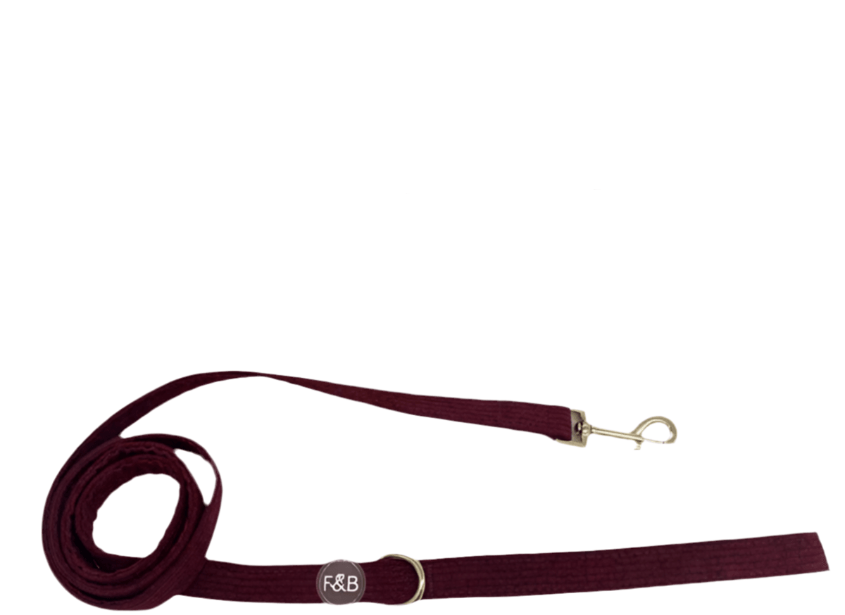 Trendy Royal Red Corduroy Harness, Leash & Poop Bag Holder Set – Elegant & Practical Pet Walking KitDog HarnessBravo Pets