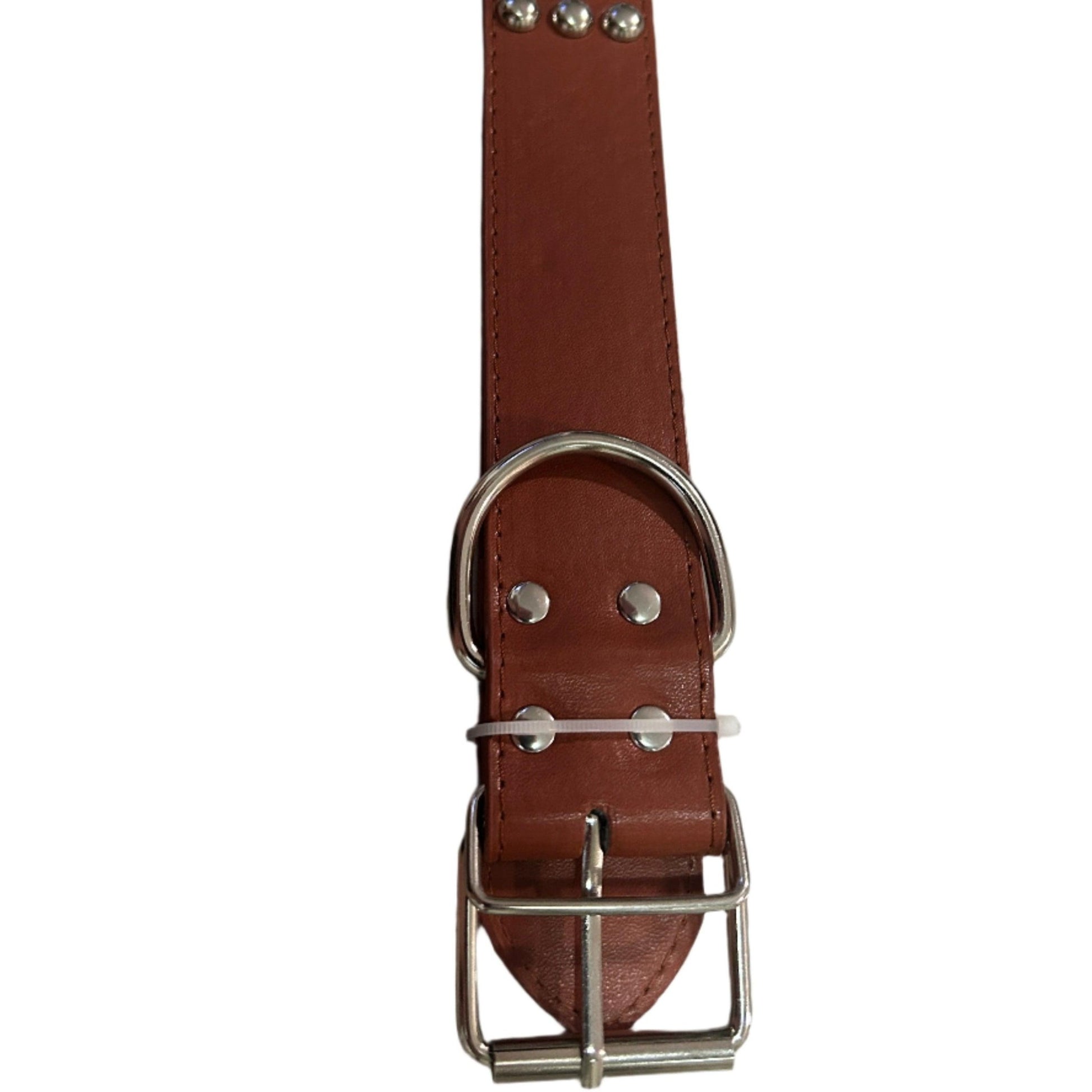 Faux Leather Studded CollarDog CollarBravo Pets