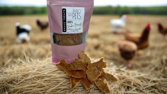 100% Dehydrated Chicken Breasts Dog Treats – Healthy, High - Protein Snack! 80gDog TreatsBravo Pets