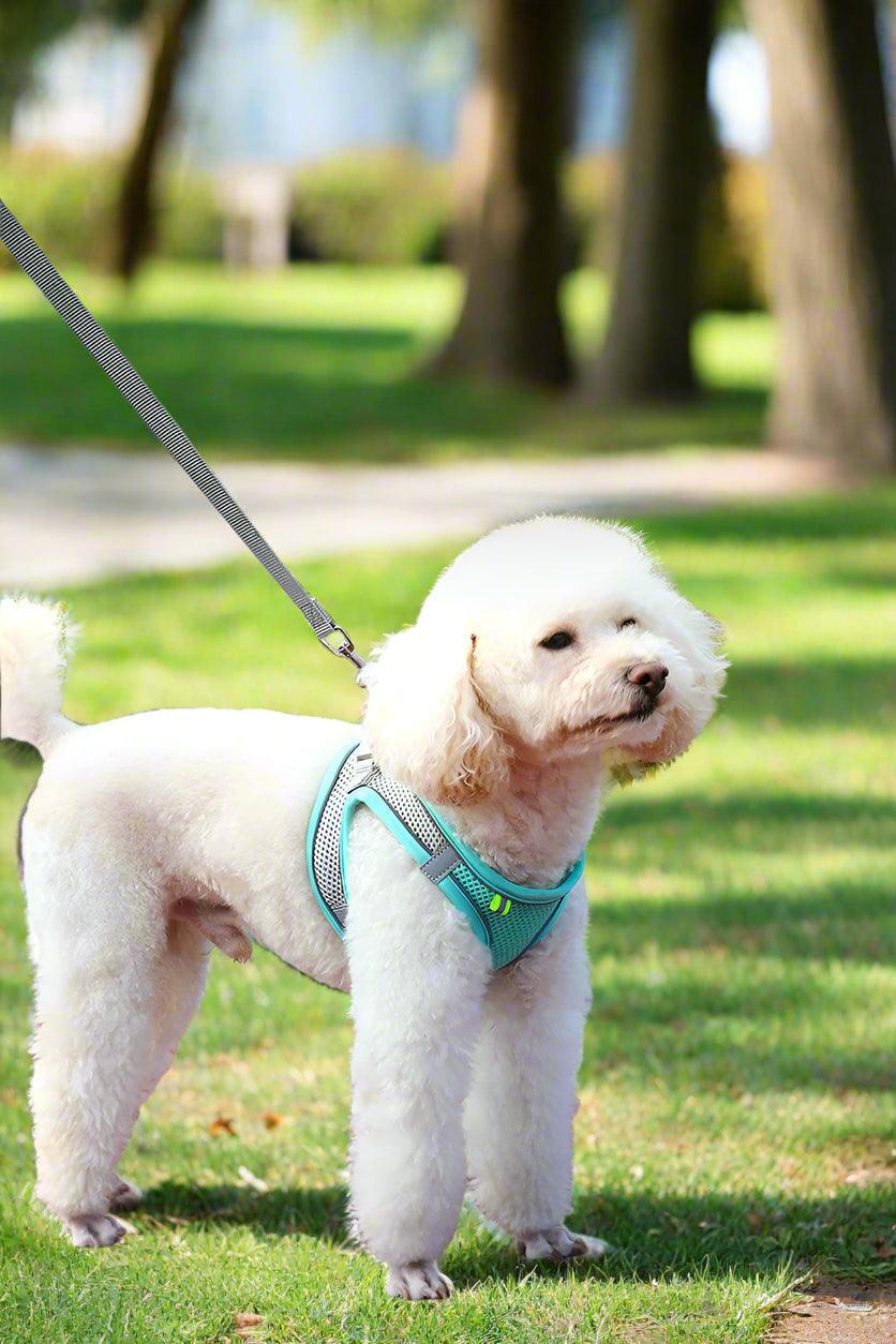 Adjustable Reflective Pet Harness for Outdoor Use with Breathable Collar and LeashDog HarnessBravo Pets