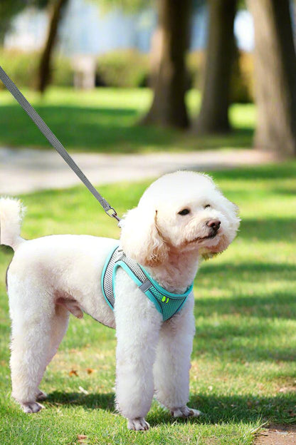 Adjustable Reflective Pet Harness for Outdoor Use with Breathable Collar and LeashDog HarnessBravo Pets