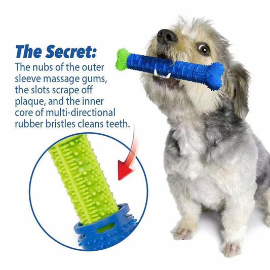Pet - Safe Dog Chew Brush Toy – Dental Cleaning & Gum MassageDog ToyBravo Pets