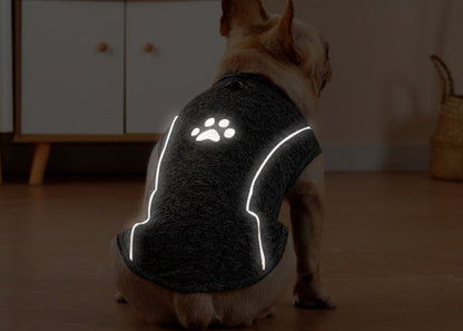 Trendy & Functional Breathable Dog T-Shirt with Reflective Paw Print & Traction BuckleDog ApparelBravo Pets