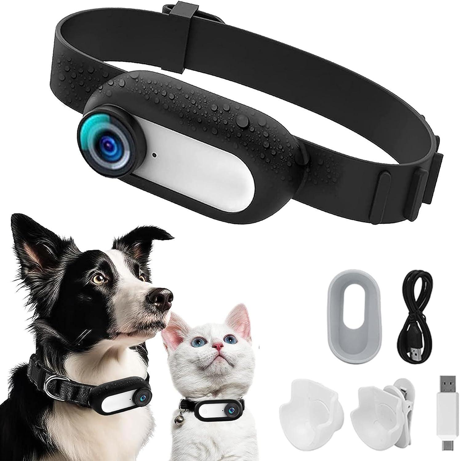 Mini HD 1080 Pet Camera with Image StabilizationPet CameraBravo Pets